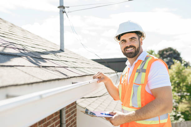 Best Roof Moss and Algae Removal  in Chaffee, MO